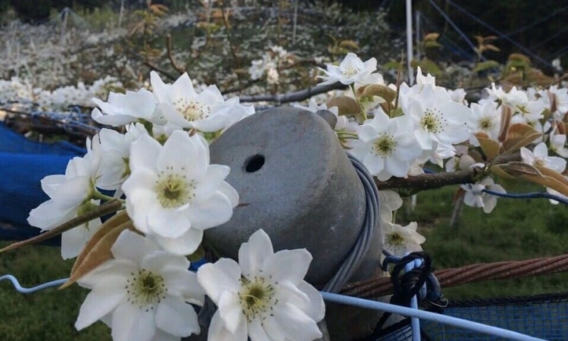 itoku-017 寺