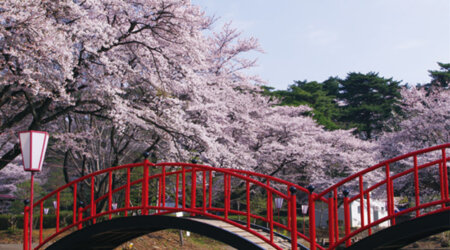 那須塩原（西那須野）　烏ヶ森公園