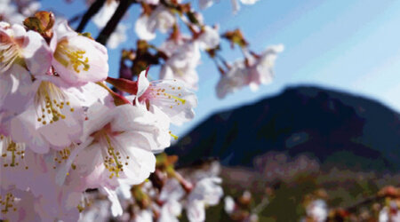 那須　那須岳　日の出平