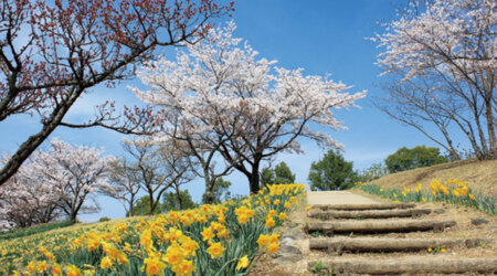 那須塩原（黒 磯）　東那須野公園