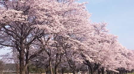 那須塩原　三和住宅にしなすのスポーツプラザ（にしなすの運動公園）