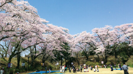 大田原　龍城・龍頭公園