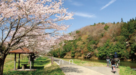 ウォーキングトレイルの桜づつみ