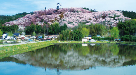 那須　芦野御殿山