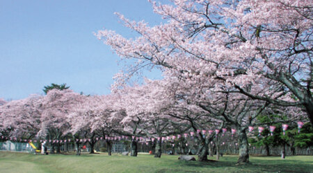 那須塩原　黒磯公園