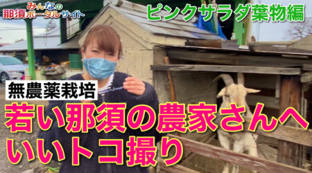 <12/29>【那須の農家】ピンクサラダさんへいいトコ撮り☆無農薬栽培