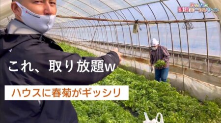 <4/25>【農業体験取り放題⁉️】トマト狩りに向けて苗植え体験へ