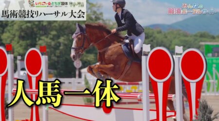 <6/27>栃木国体「障害馬術」【いちご一会とちぎ国体 馬術競技リハーサル大会】いいとこ撮り、トッシーの力作です。