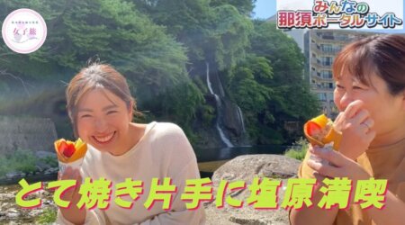 7/3【通りの茶屋 藤屋】創業108年!塩原で大人気くだもの屋カフェ♪【女子旅ドライブ地元巡りの旅】