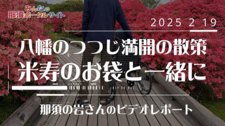 5/22八幡のつつじ満開の散策・米寿のお袋と一緒に