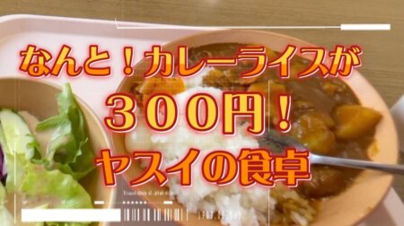 7/17【栃木県北セーフティーネット】なんと！カレーライスが300円！？ヤスイの食卓