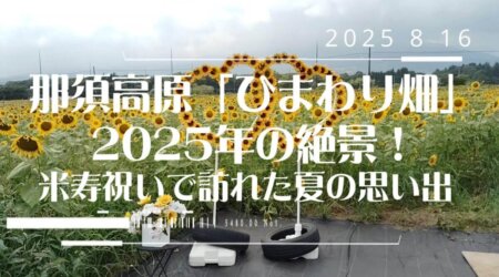 8/17【那須高原「ひまわり畑」2025年の絶景！米寿祝いで訪れた夏の思い出】