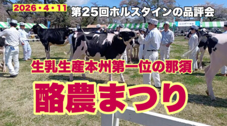4/16【酪農まつり】競馬の「桜花賞」と同時に生乳生産本州第一位を誇る酪農とちぎが主催する酪農まつり。「牛の品評会」です。