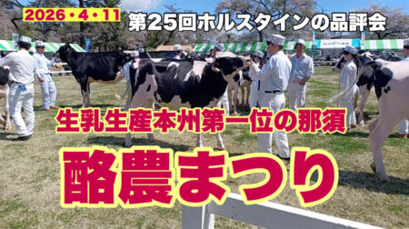 4/16【酪農まつり】競馬の「桜花賞」と同時に生乳生産本州第一位を誇る酪農とちぎが主催する酪農まつり。「牛の品評会」です。