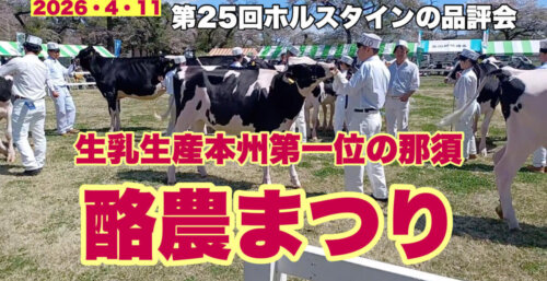 4/16【酪農まつり】競馬の「桜花賞」と同時に生乳生産本州第一位を誇る酪農とちぎが主催する酪農まつり。「牛の品評会」です。