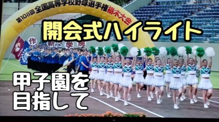 8/9【第108回高校野球栃木大会開会式ハイライト】栃木県北のチームを主に抜粋